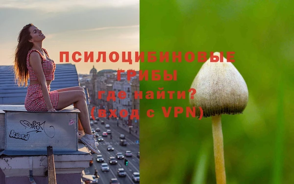 эйфоретик Абинск