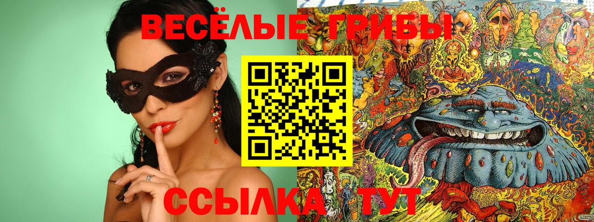 Псилоцибиновые грибы Psilocybine cubensis  Вход с VPN  купить наркотики сайты  Александров 